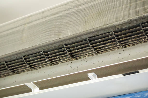 Best Air Duct Cleaning Near Me  in Rock Valley, IA